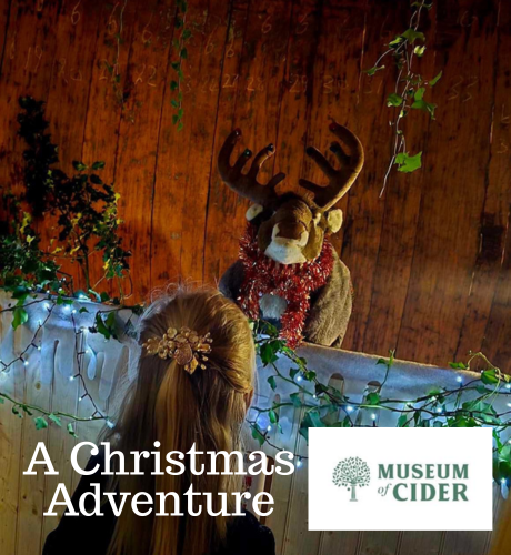 A Christmas Adventure